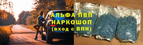 apvp Алексин