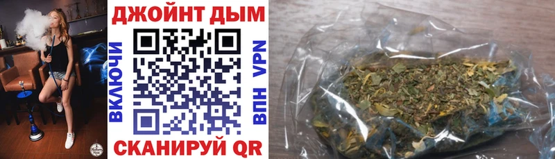 Конопля гибрид  Анива 